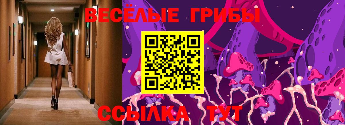 Скопин  Псилоцибиновые грибы прущие грибы  Вход с VPN 